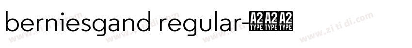 berniesgand regular字体转换